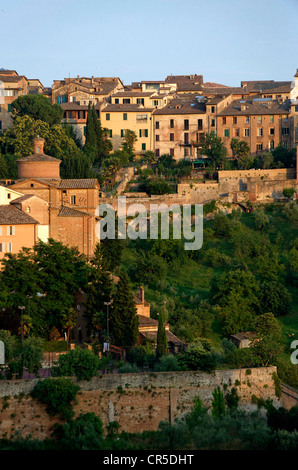 Italie, Toscane, Sienne, centre historique Patrimoine Mondial de l'UNESCO Banque D'Images