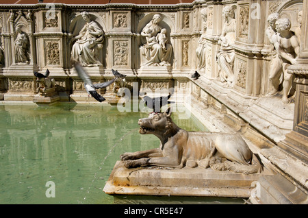 Italie, Toscane, Sienne, centre historique Patrimoine Mondial de l'UNESCO, la Piazza del Campo, La fontaine Gaia Banque D'Images