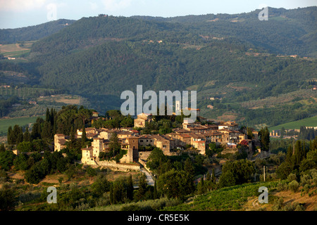 Italie, Toscane, région de production du vin Chianti Montefioralle, Banque D'Images