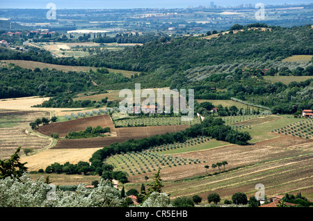 L'Italie, la Toscane, la Maremma paysage de Capalbio Banque D'Images
