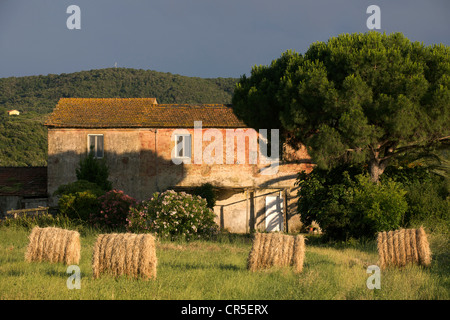 L'Italie, la Toscane, la Maremma, Monte Argentario Banque D'Images