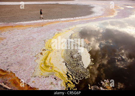 Au Kenya, la Vallée du Rift, le lac Magadi Soda, Banque D'Images
