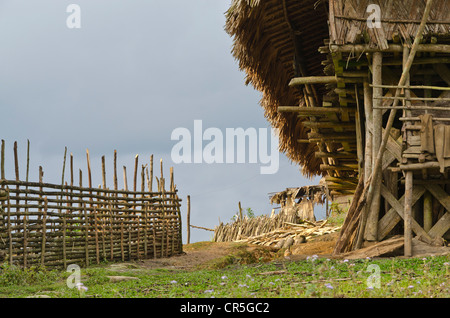 Kombo, village de la tribu Adi Gallo, dans les collines de l'Arunachal Pradesh, Inde, Asie Banque D'Images