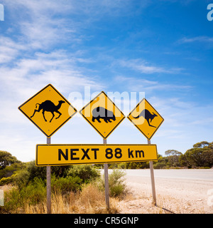 Célèbre signe sur la plaine du Nullarbor, Australie du Sud, regarder dehors pour les chameaux, wombats, kangourous. Banque D'Images