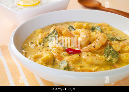 Crevettes cuites au lait de coco et épices, servi avec du riz basmati. Banque D'Images