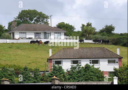 Maisons à flanc de colline, Bantry, West Cork, République d'Irlande Banque D'Images