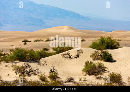 Dunes de sable, la Death Valley, Californie, USA. JMH5357 Banque D'Images