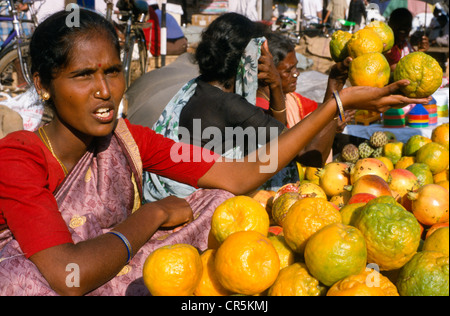 Les femmes vendent des oranges dans les rues de Mysore, Karnataka, Inde, Asie Banque D'Images