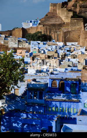 La ville bleue de Jodhpur avec Meherangarh Fort, Rajasthan, Inde, Asie Banque D'Images