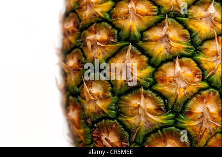 Ananas (Ananas comosus), détail de la peau Banque D'Images