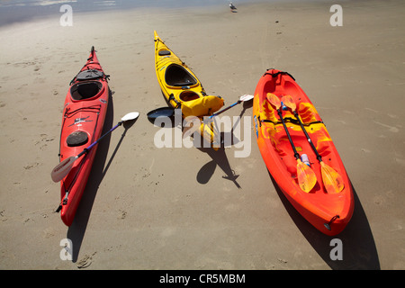 Kayaks sur la plage par les médecins Point, au nord de Dunedin, île du Sud, Nouvelle-Zélande Banque D'Images