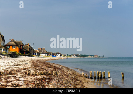 Large plage de Graswarder, Heiligenhafen, Schleswig-Holstein, Allemagne, Europe Banque D'Images