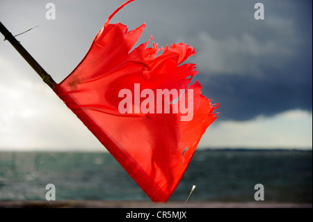 Drapeau rouge flottant au vent, mer Baltique, Danemark, Europe Banque D'Images