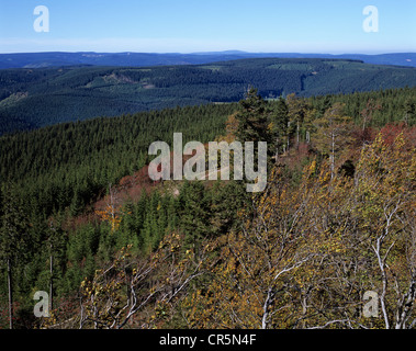 Vue sur la forêt de Thuringe, Thueringer Wald, à partir de la tour d'observation sur le mont Kickelhahn près d'Ilmenau en Thuringe Banque D'Images