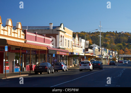 Boutiques historique sur la rue King Edward, et la couleur en automne, au sud Dunedin, Dunedin, Nouvelle-Zélande, île du Sud Banque D'Images