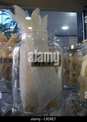 Les ailerons de requin séchés à vendre en chinois, Sydney, Australie Banque D'Images