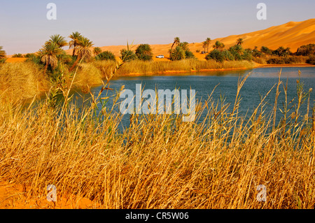 Sur le Maa Um El Desert Lake dans la mer de sable Ubari, Sahara, la Libye, l'Afrique Banque D'Images