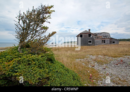 Canada, Quebec Province, Région de Duplessis, l'île d'Anticosti, le vieux village de Baie Sainte Claire, maison en ruine Banque D'Images