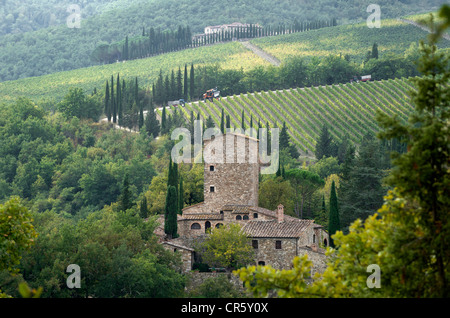 Italie, Toscane, région de production du vin Chianti, Castellina in Chianti Banque D'Images