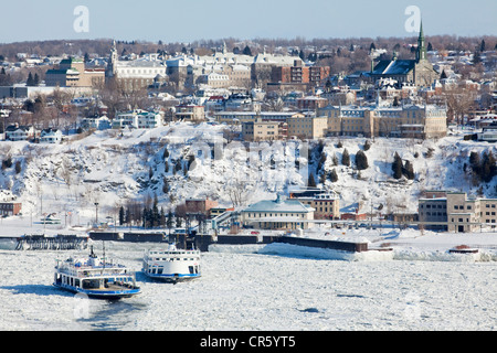 Canada, Québec, province de Québec, du fleuve Saint-Laurent gelé en hiver, ferry à Levis Banque D'Images