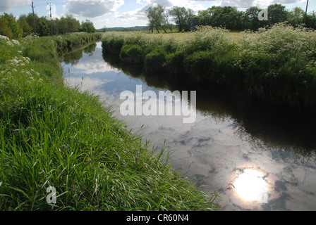 Les Six Mile River dans le comté d'Antrim un soir d'été. Photo par : Adam Alexander/Alamy Banque D'Images