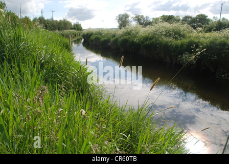 Les Six Mile River dans le comté d'Antrim un soir d'été. Photo par : Adam Alexander/Alamy Banque D'Images