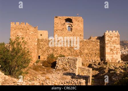 Château des croisés qui montent la garde sur le joli port de Byblos (jbail), Liban. Banque D'Images