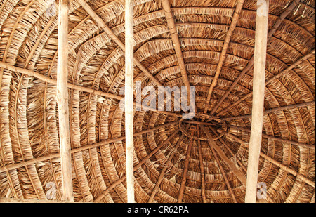 Le détail d'un toit tissé Indiens Embera Bulding dans le parc national de Chagres Panama Banque D'Images