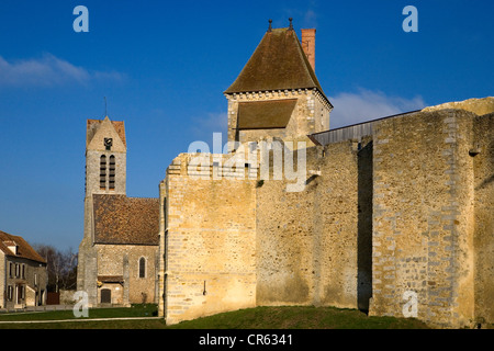 France, Seine et Marne, Blandy les Tours, château fort et l'église Saint Maurice à l'arrière-plan Banque D'Images