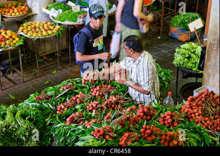 L'Ile Maurice, Côte Ouest, Port Louis, Port Louis, marché de fruits et légumes, vendeur de litchis Banque D'Images