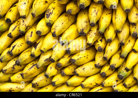 L'Afrique du Sud, la Province de Gauteng, Pretoria, Place de l'Église, vendeur de fruits, bananes Banque D'Images