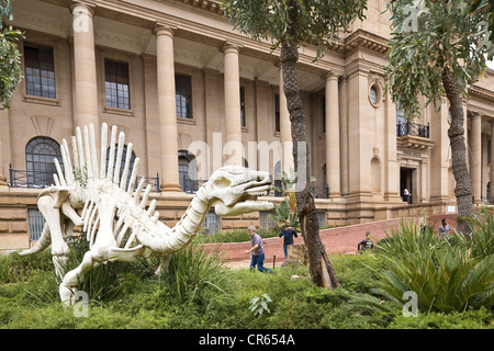 L'Afrique du Sud, la Province de Gauteng, Pretoria, Transvaal Museum d'Histoire Naturelle créé en 1892 Banque D'Images