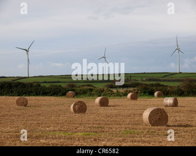 Balles de foin rondes et les éoliennes, Cornwall, UK Banque D'Images