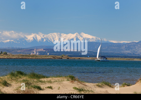 France, Aude, Gruissan, la plage en face des Pyrénées Banque D'Images