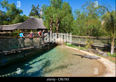 L'Afrique du Sud, Western Cape, sur la route 62, dans la ville de Oudtshoorn, Cango Wildlife Ranch park Banque D'Images