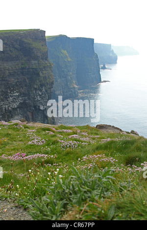 Les falaises de Moher (Irlande) entouré par le brouillard Banque D'Images