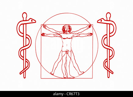 2 serpents et les 'Aesculapian Homme de Vitruve", symbole de la MTC, Médecine traditionnelle chinoise Banque D'Images