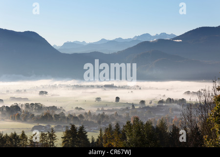 Allemagne, Bavière, Kleinweil, vue de l'arbre dans le brouillard Banque D'Images