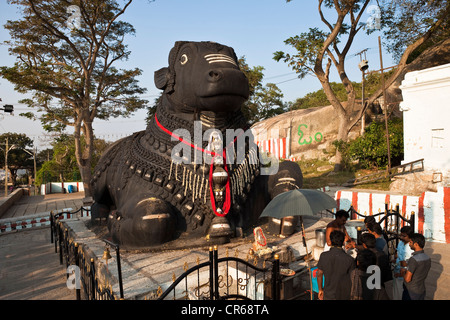 L'Inde, l'État du Karnataka, Mysore, Chamundi Hill, Nandi, statue géante de Nandi Bull qui est le vahana (véhicule) ou de Shiva Hindu Banque D'Images