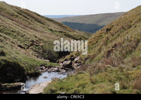 Sur la montagne avec ruisseau Brecon Beacons Banque D'Images