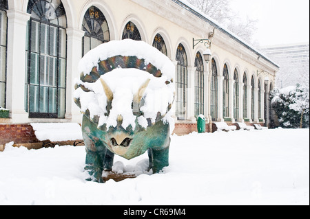 France, Isère, Grenoble en hiver, le Musée d'Histoire Naturelle Banque D'Images