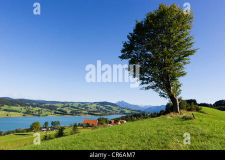L'Autriche, Zell am Moos, vue sur montagne avec Lac Irrsee Banque D'Images