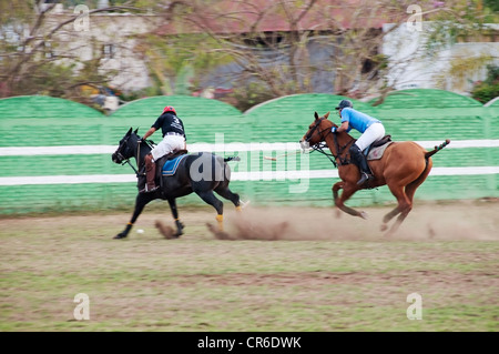 Deux coureurs en compétition à pleine vitesse sur leurs poneys de polo lors d'un match à la Patrona Polo Club à San Francisco, Nayarit, Mexique. Banque D'Images