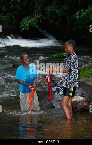 Laver les vêtements des garçons dans un ruisseau, Bamenda, Cameroun, Afrique Banque D'Images