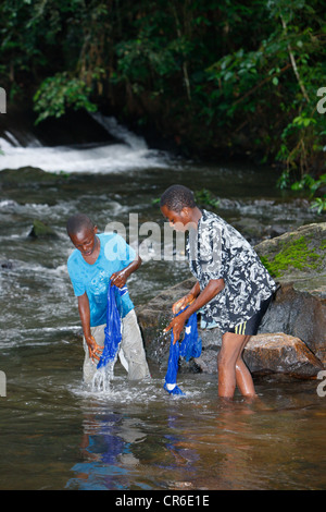 Laver les vêtements des garçons dans un ruisseau, Bamenda, Cameroun, Afrique Banque D'Images