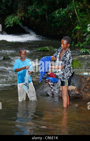 Laver les vêtements des garçons dans un ruisseau, Bamenda, Cameroun, Afrique Banque D'Images