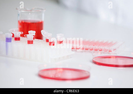 Germany, Bavaria, Munich, tubes à essai et des boîtes de Pétri en laboratoire pour la recherche médicale Banque D'Images