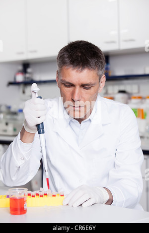 Germany, Bavaria, Munich, chemist liquide rouge à la pipette dans le tube à essai pour la recherche médicale, au laboratoire Banque D'Images