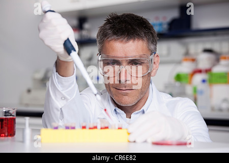 Germany, Bavaria, Munich, chemist liquide rouge à la pipette dans le tube à essai pour la recherche médicale, au laboratoire Banque D'Images