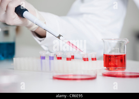 Germany, Bavaria, Munich, chemist liquide rouge en tube à essai pour la recherche médicale, au laboratoire Banque D'Images